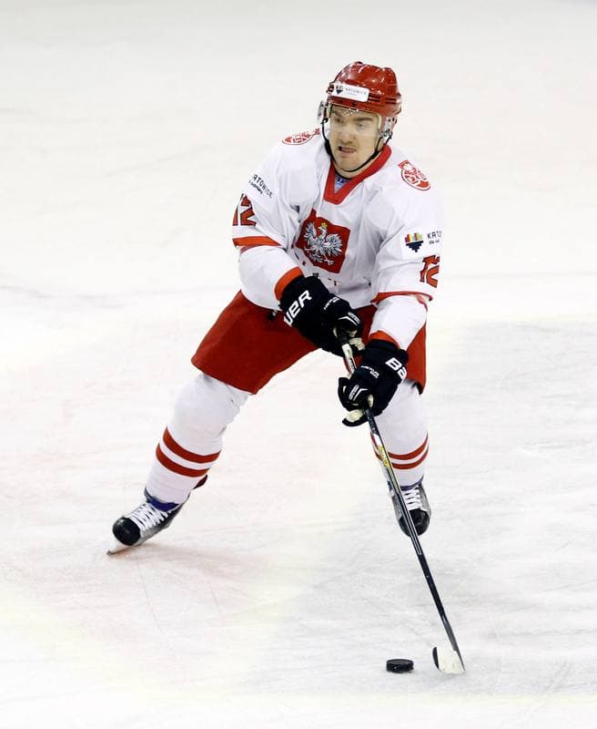 Ice Hockey. Euro Ice Hockey Challenge. Poland - Slovenia. 05.11.2015