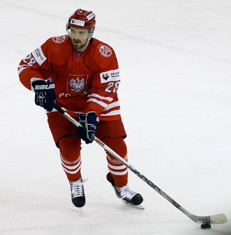 Ice Hockey. Euro Ice Hockey Challenge. Poland - Austria. 07.11.2015
