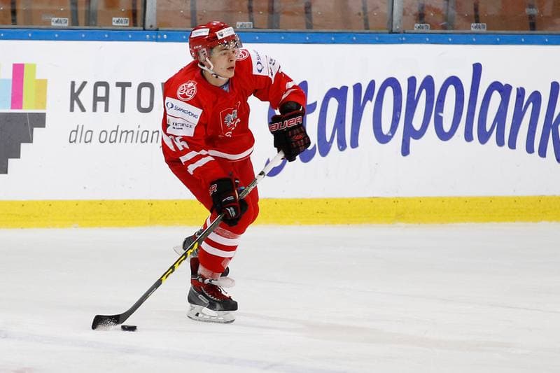 Ice Hockey. EIHC. Poland - Italy. 17.12.2015