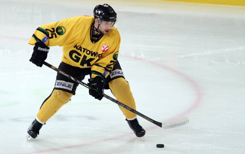 Ice Hockey. Polska Hokej Liga. HC GKS Katowice - KTH Krynica. 21.02.2014
