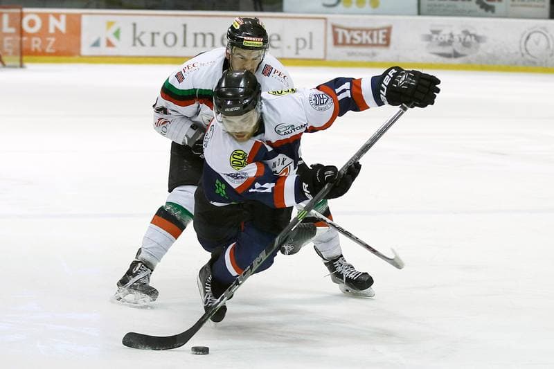 Ice Hockey. Polska Hokej Liga. GKS Tychy - Ciarko STS Sanok. 15.01.2016