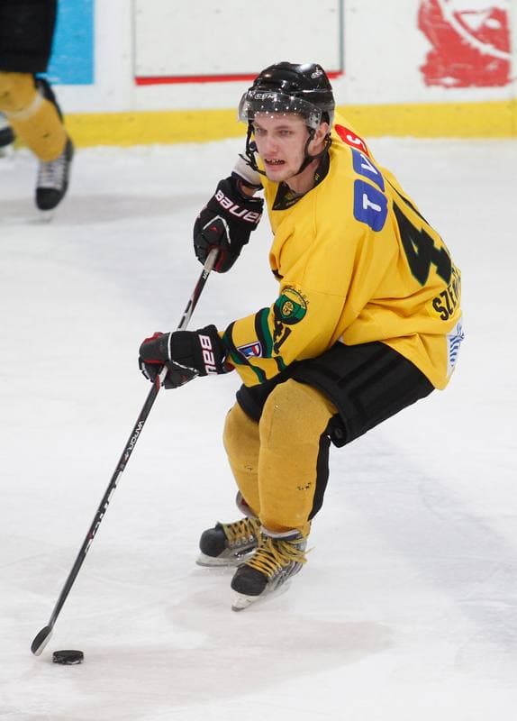 Ice Hockey. Tauron Hokej Liga. HC GKS Katowice - Podhale Nowy Targ. 04.01.2015