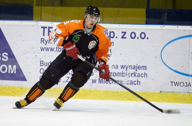 Ice Hockey. Polska Hokej Liga. Polonia Bytom - JKH GKS Jastrzebie. 14.12.2014