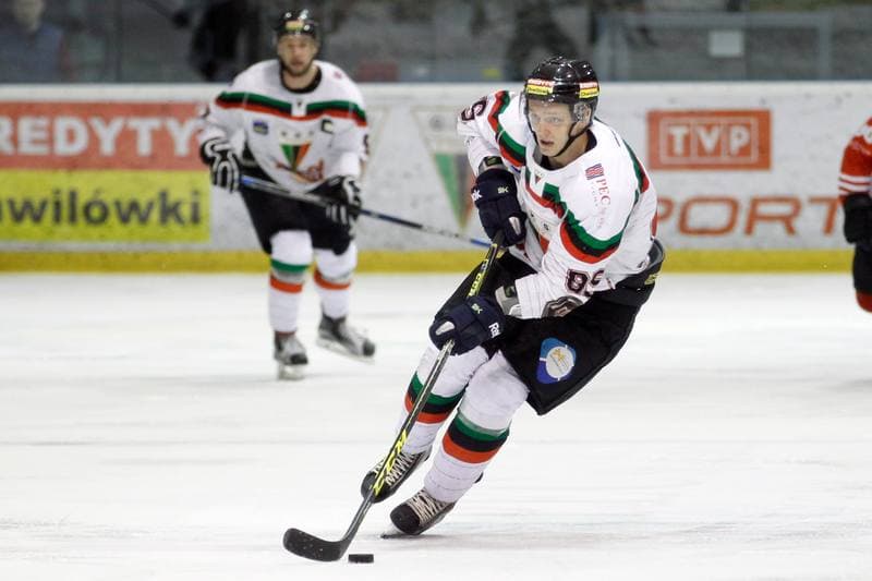 Ice Hockey. Polska Hokej Liga. GKS Tychy - Comarch Cracovia Krakow. 26.01.2016