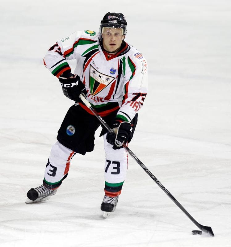 Ice Hockey. Polska Hokej Liga. GKS Tychy - Ciarko KH Sanok. 23.01.2015