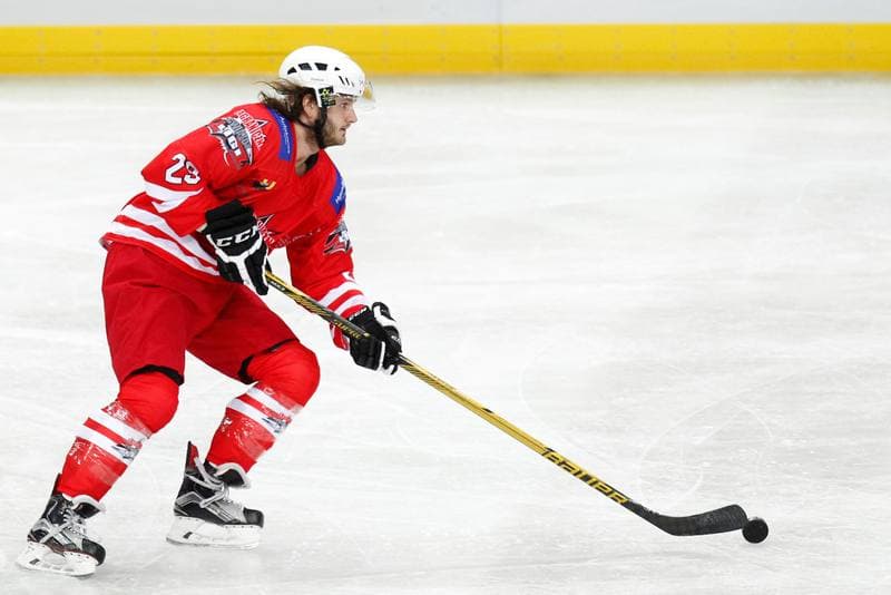 Ice Hockey. Friendly Match. Poland - Stars of PHL. 06.02.2016