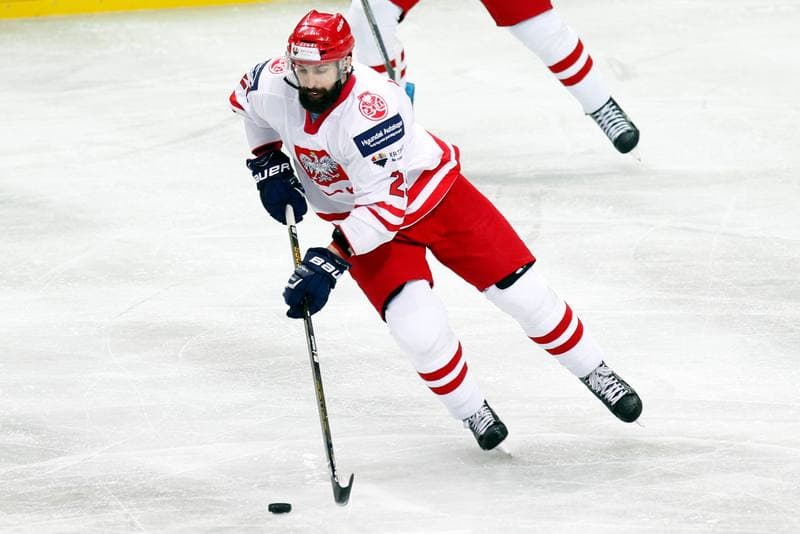 Ice Hockey. Friendly Match. Poland - Stars of PHL. 06.02.2016