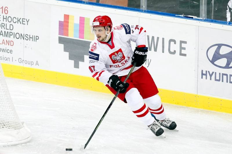 Ice Hockey. Friendly Match. Poland - Stars of PHL. 06.02.2016