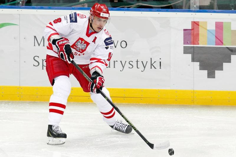 Ice Hockey. Friendly Match. Poland - Stars of PHL. 06.02.2016