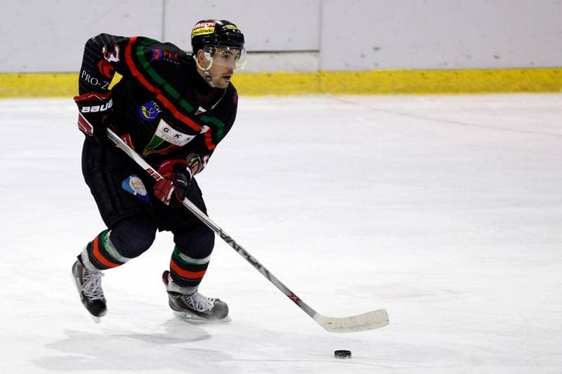 Ice Hockey. Tauron Hokej Liga. Polonia Bytom - GKS Tychy. 23.02.2016
