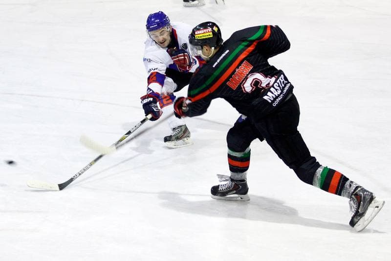 Ice Hockey. Tauron Hokej Liga. Polonia Bytom - GKS Tychy. 23.02.2016