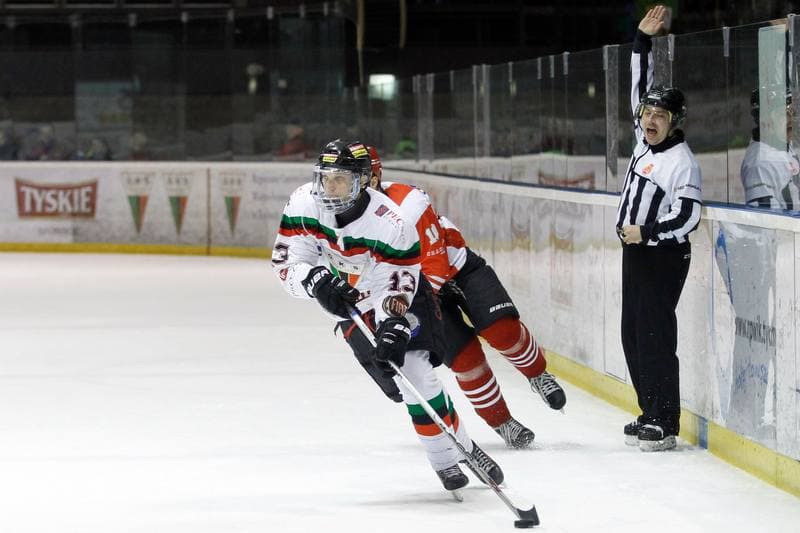 Ice Hockey. Polska Hokej Liga. GKS Tychy - Comarch Cracovia Krakow. 26.01.2016