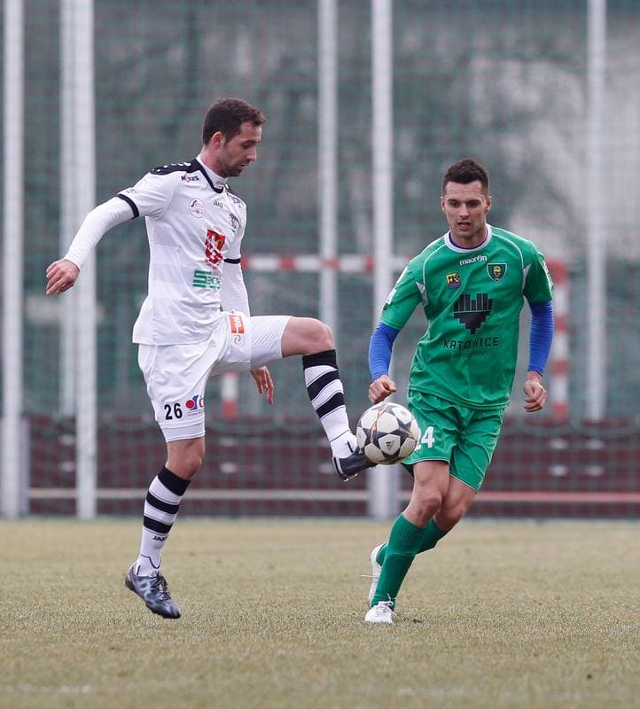 Football. Friendly Match. FC Hradec Kralove - GKS Katowice. 14.02.2015
