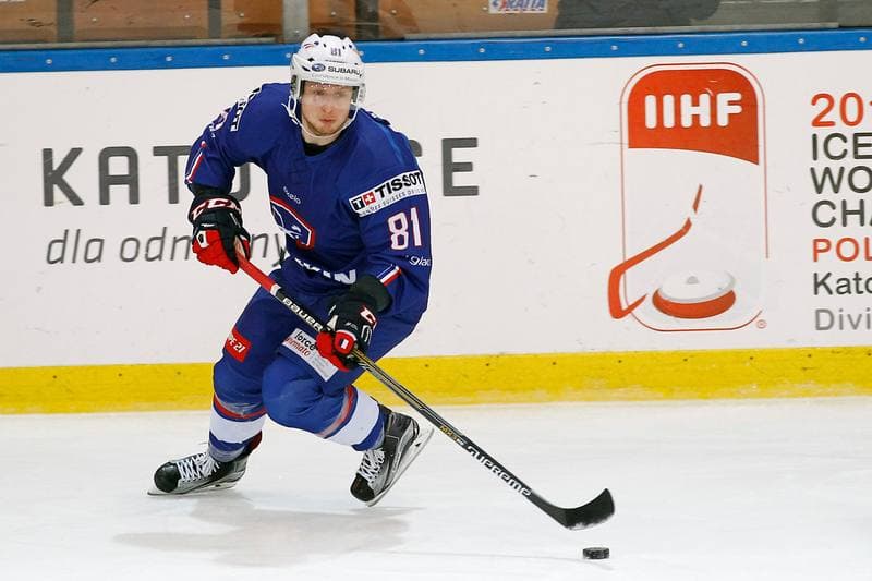 Ice Hockey. EIHC. Kazakhstan - France. 17.12.2015