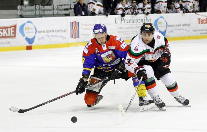 Ice Hockey. Polska Hokej Liga. GKS Tychy - Tatryski Podhale Nowy Targ. 29.02.2016