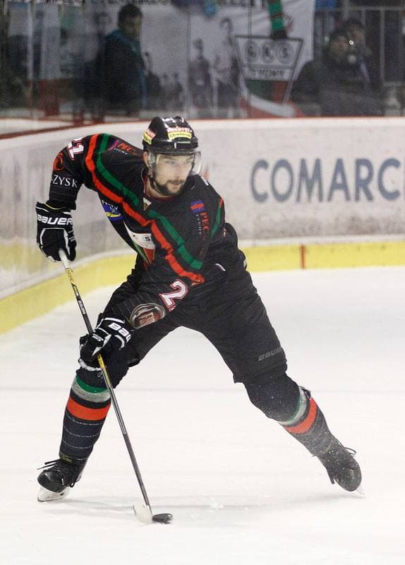 Ice Hockey. Polish Hockey League. Comarch Cracovia - GKS Tychy. 22.03.2016