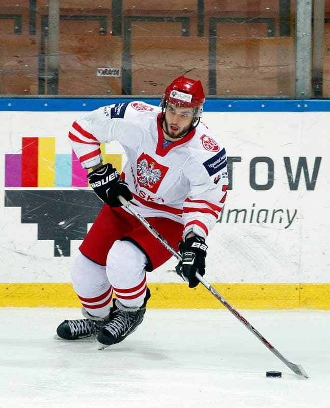 Ice Hockey. International Friendly Match. Poland - Lithuania. 14.04.2016