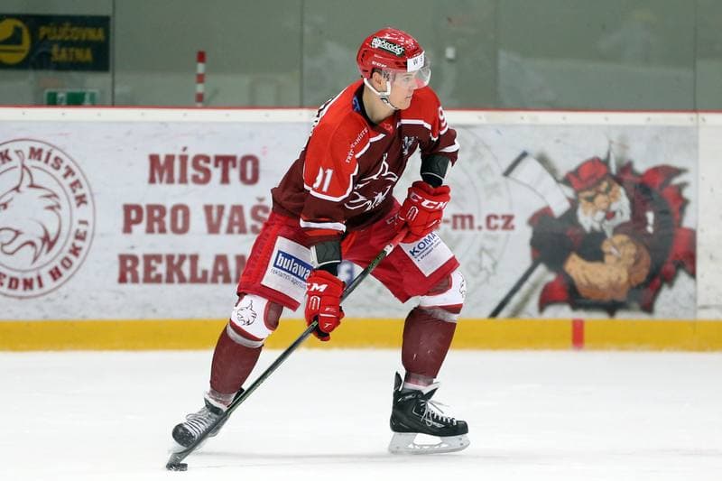 Ice Hockey. WSM Liga. HC Frydek-Mistek - HC Benatky nad Jizerou. 20.02.2017