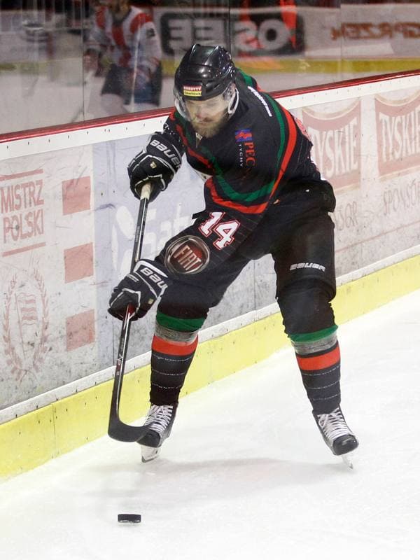 Ice Hockey. Polish Hockey League. Comarch Cracovia - GKS Tychy. 22.03.2016
