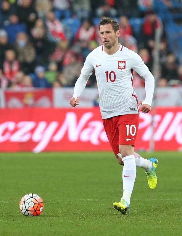 Football. Poland national team. Press Conference. 23.03.2016