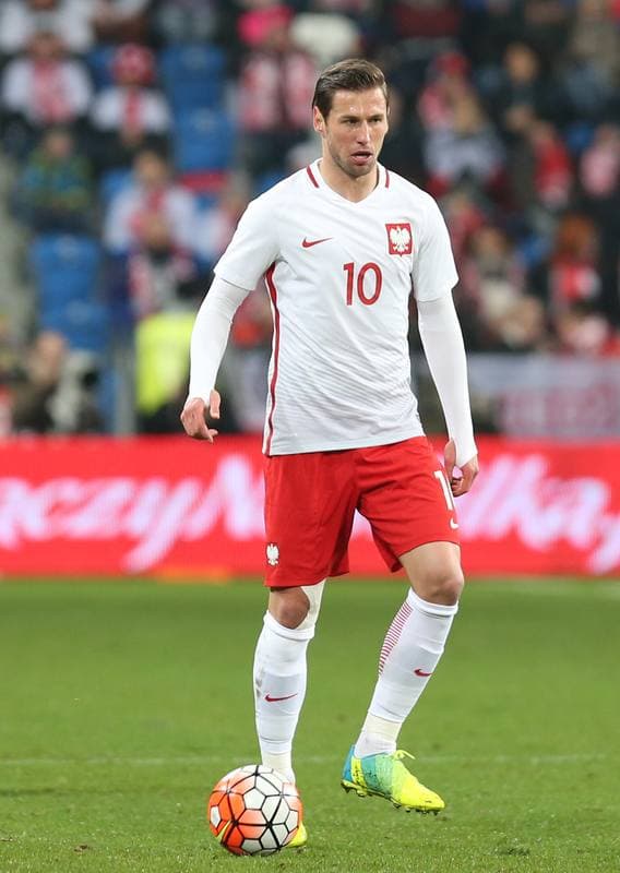 Football. Poland national team. Press Conference. 23.03.2016