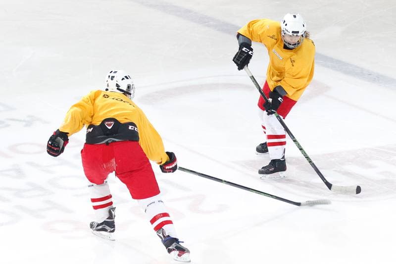 Ice Hockey. Women's National Team. Training. 30.03.2016