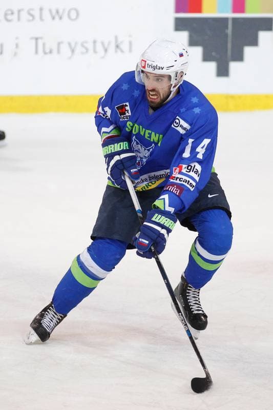 Ice Hockey. Euro Ice Hockey Challenge. Poland - Slovenia. 09.02.2017