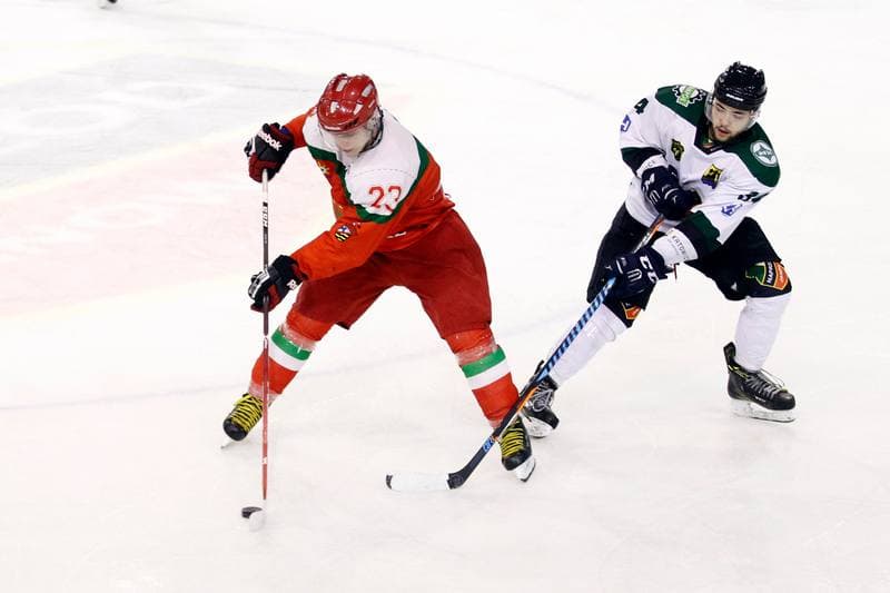 Ice Hockey. I Liga. Naprzod Janow - Zaglebie Sosnowiec. 12.03.2017