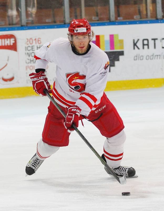 Ice Hockey. Poland national team. Training. 13.04.2016