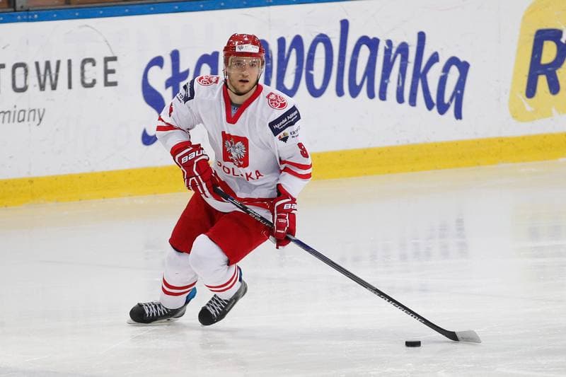 Ice Hockey. International Friendly Match. Poland - Lithuania. 14.04.2016