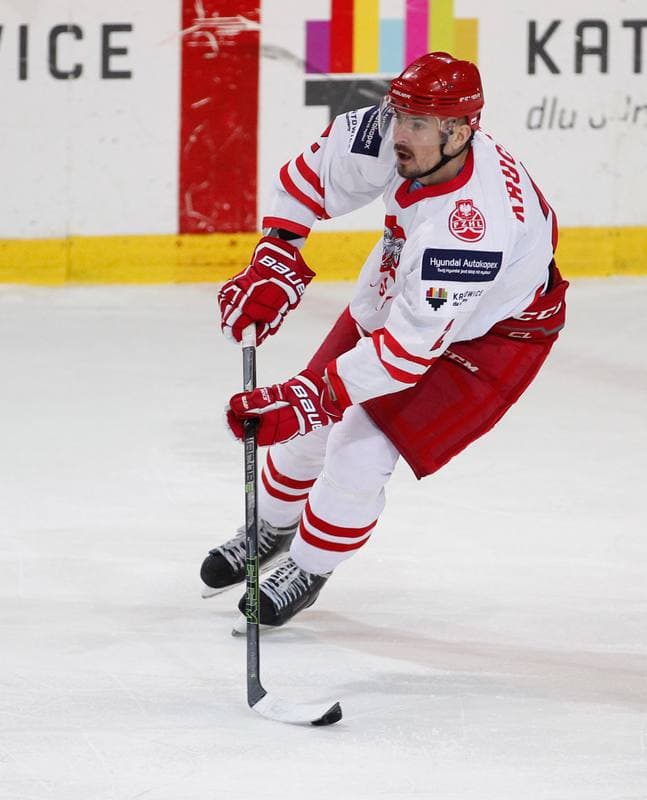 Ice Hockey. International Friendly Match. Poland - Lithuania. 14.04.2016