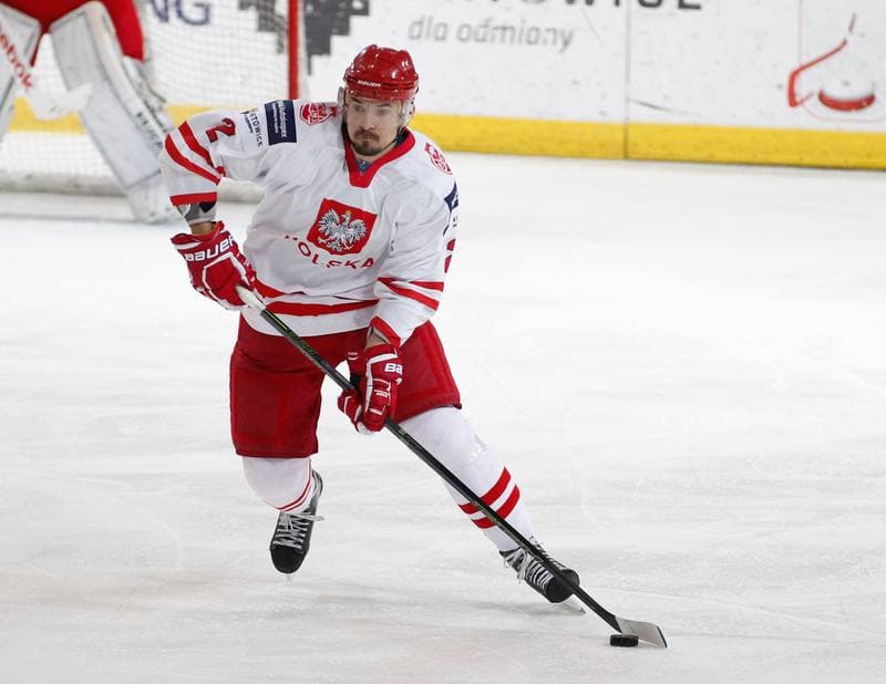 Ice Hockey. International Friendly Match. Poland - Lithuania. 14.04.2016