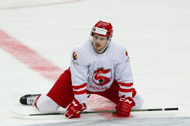Ice Hockey. Poland national team. Training. 24.04.2016