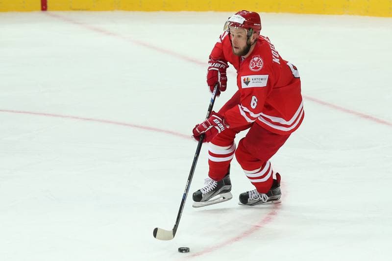 Ice Hockey. World Championship Division 1A. Poland - Korea. 24.04.2016