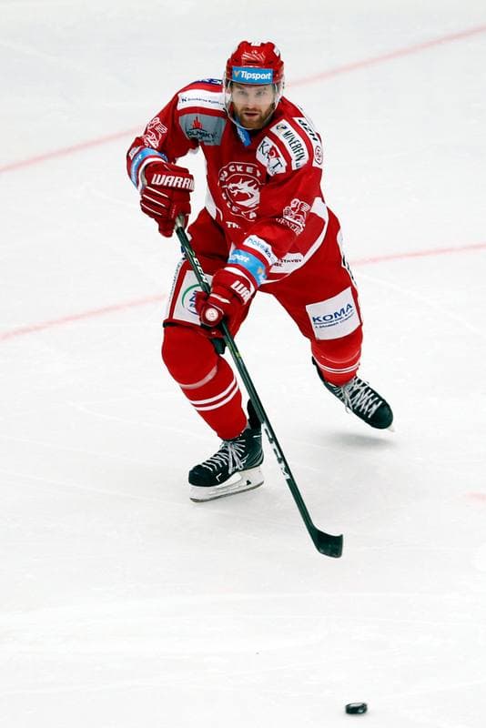 Ice Hockey. Tipsport Extraliga. Ocelari Trinec - Bili Tygri Liberec. 22.12.2017