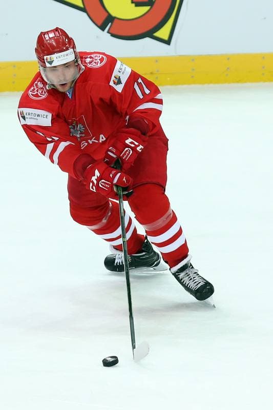 Ice Hockey. World Championship Division 1A. Poland - Austria. 27.04.2016