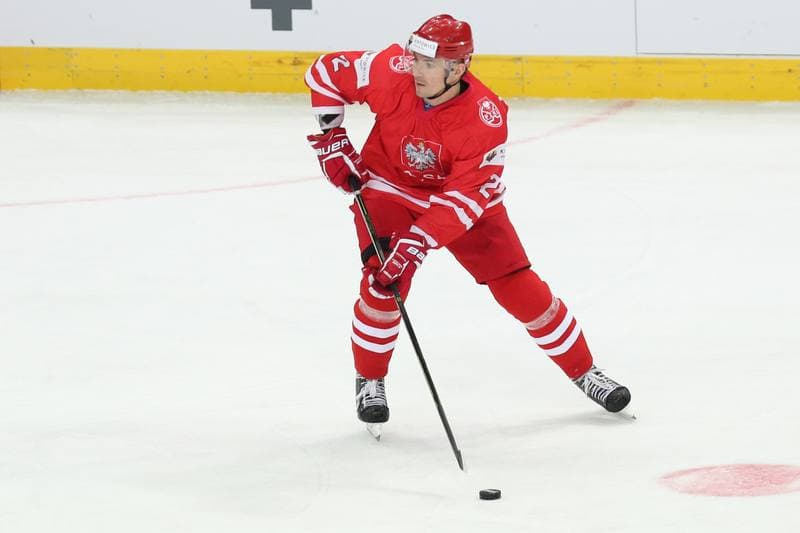 Ice Hockey. World Championship Division 1A. Poland - Japan. 29.04.2016