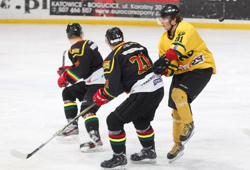 Ice Hockey. Polska Hokej Liga. HC GKS Katowice - KTH Krynica. 21.02.2014