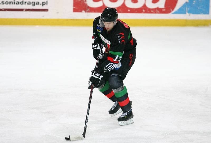 Ice Hockey. Polska Hokej Liga. HC GKS Katowice - GKS Tychy. 11.01.2015