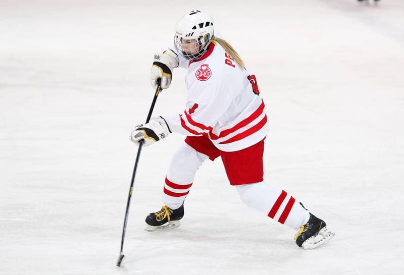 Ice Hockey. U18 Women's World Championship Division I. Poland - Kazakhstan. 21.01.2015