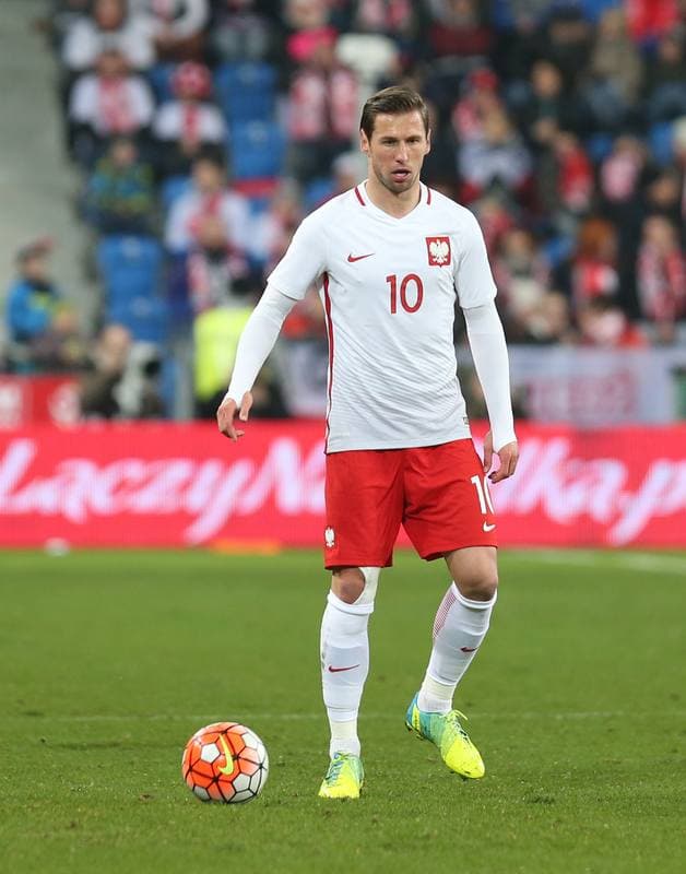 Football. International Friendly. Poland - Serbia. 23.03.2016