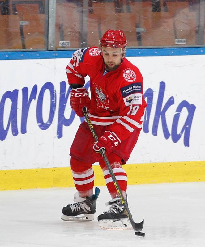Ice Hockey. International Friendly Match. Poland - Korea. 16.04.2016