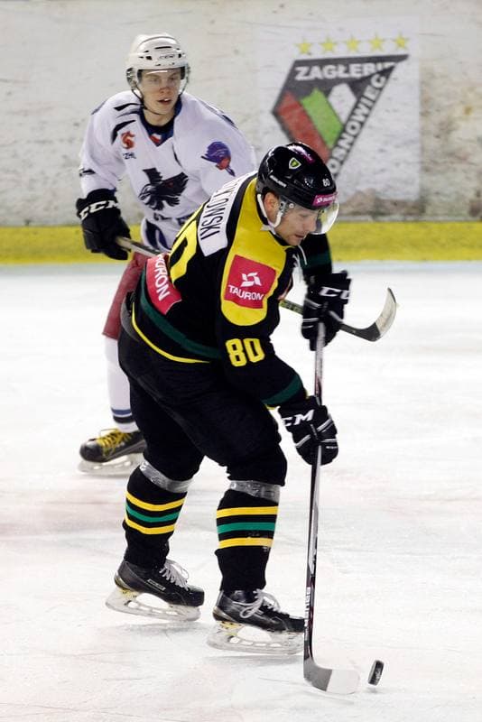 Ice Hockey. Polska Hokej Liga. SMS PZHL Sosnowiec - Tauron KH GKS Katowice. 31.01.2017