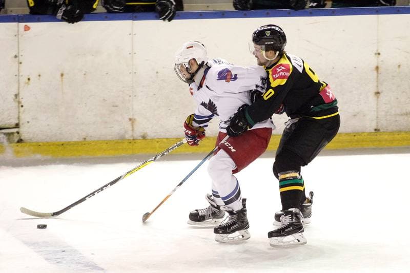 Ice Hockey. Polska Hokej Liga. SMS PZHL Sosnowiec - Tauron KH GKS Katowice. 31.01.2017