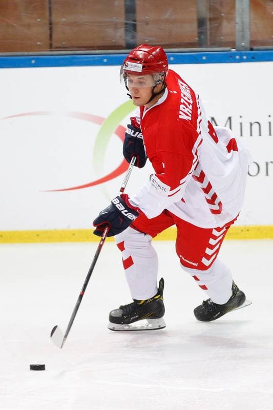 Ice Hockey. Euro Ice Hockey Challenge. Poland - Slovenia. 09.02.2017