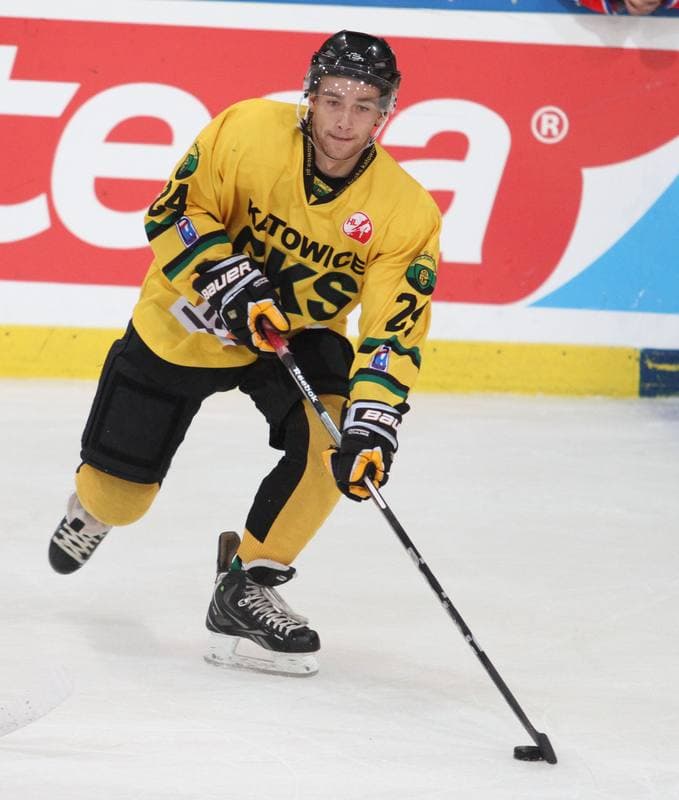 Ice Hockey. Tauron Hokej Liga. HC GKS Katowice - Polonia Bytom. 02.01.2015