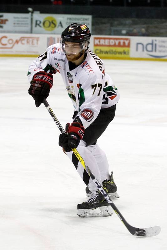 Ice Hockey. Tauron Hokej Liga. GKS Katowice - GKS Tychy. 25.11.2016