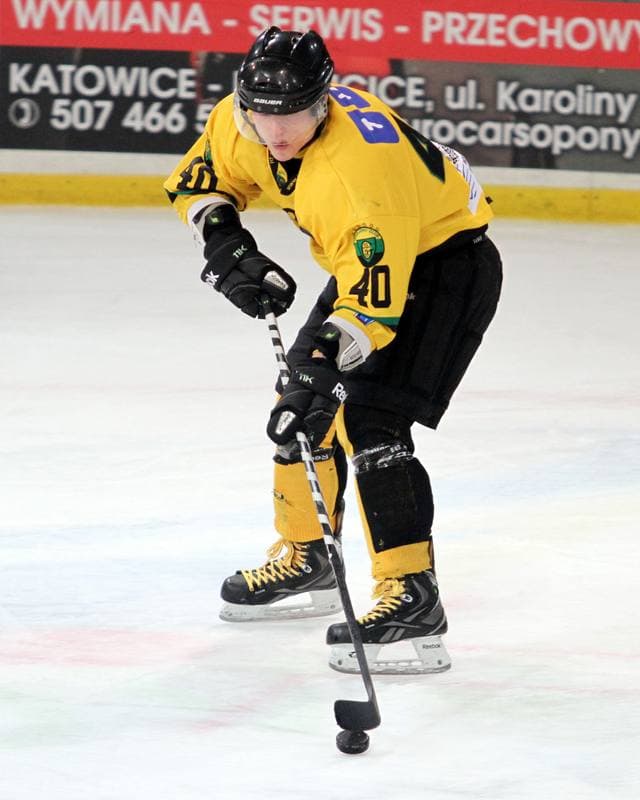 Ice Hockey. Polska Hokej Liga. HC GKS Katowice - KTH Krynica. 21.02.2014