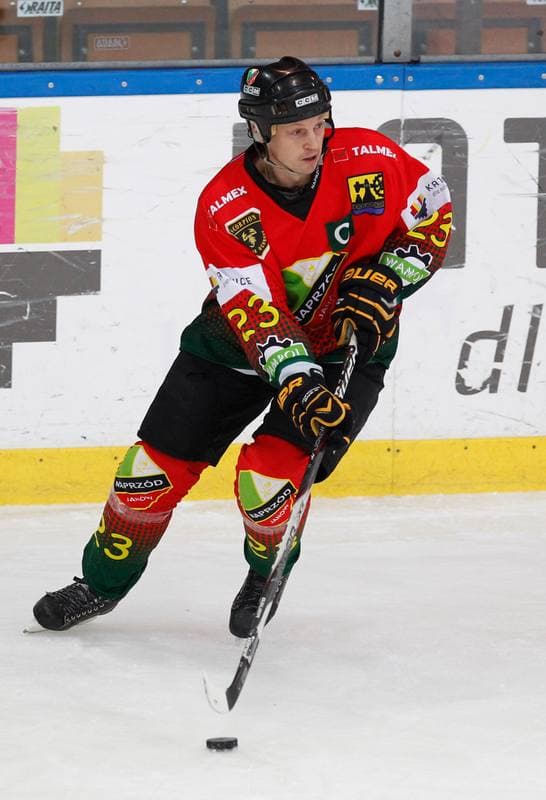 Ice Hockey. Polska Hokej Liga. HC GKS Katowice - Naprzod Janow. 10.02.2015
