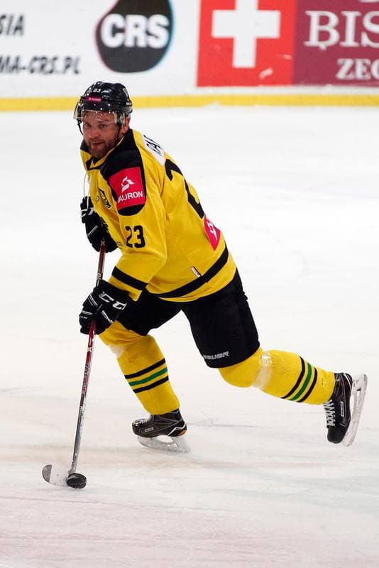 Ice Hockey. Tauron Hokej Liga. Tauron KH GKS Katowice - MH Automatyka Gdansk. 10.01.2017